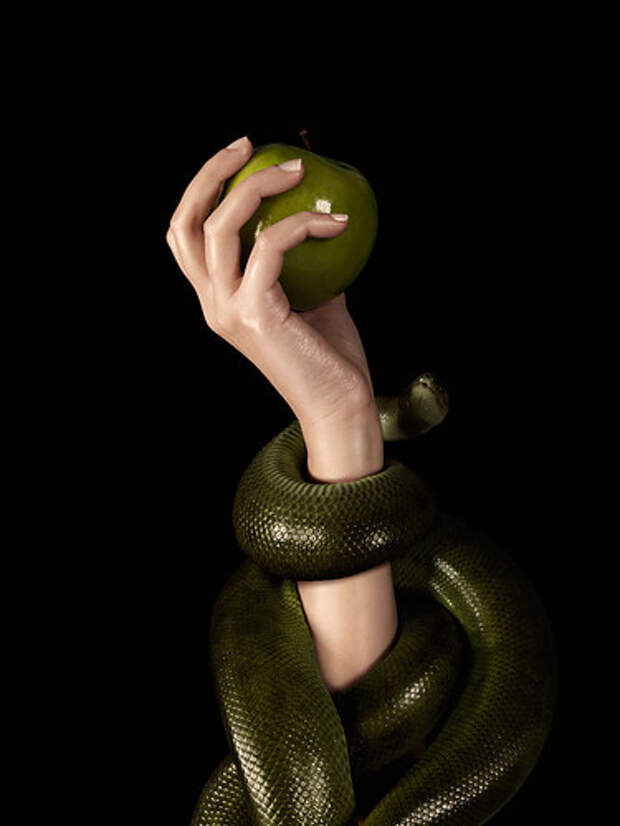 adam,and,evem,temptation,apple,snake,purrrrrty-94ace1bb2d6384166437ec0b2045e4f9_h (375x500, 27Kb)
