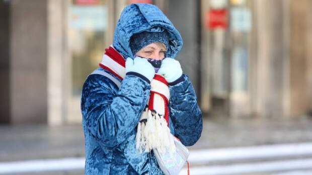 Похолодание до минусовых значений ожидается в Москве на следующей неделе