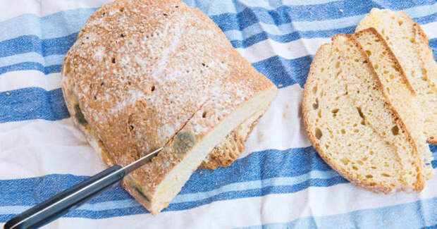 Можно ли употреблять в пищу «чистую» часть заплесневелого хлеба.