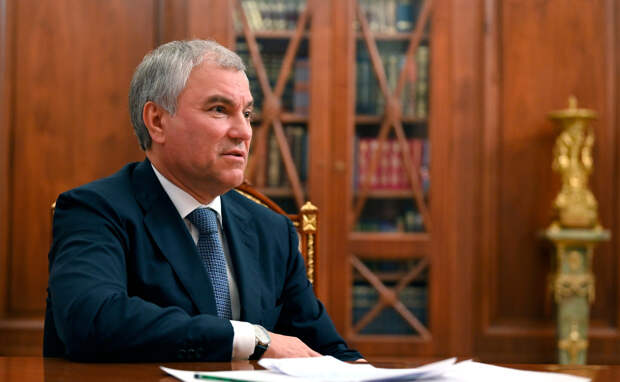 Володин заявил о своей трактовке Клишасом норм Конституции России