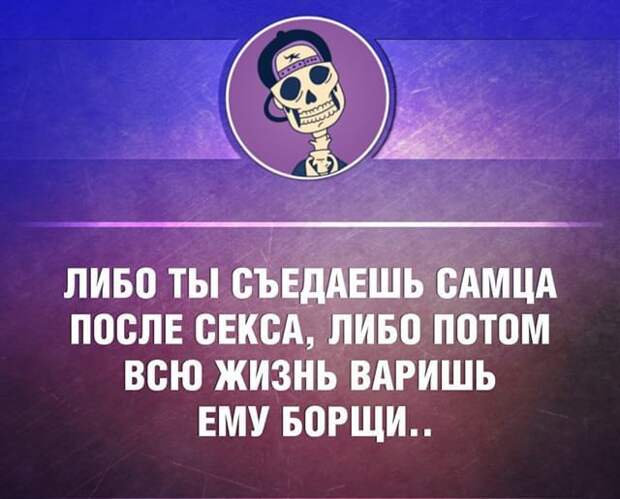 23 жизненные открытки для отличного настроения открытки, юмор