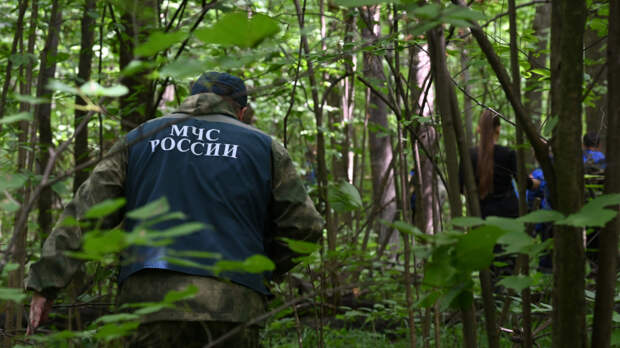 Пропавшие в лесу под Екатеринбургом дети найдены живыми
