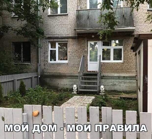 Мои правила )
