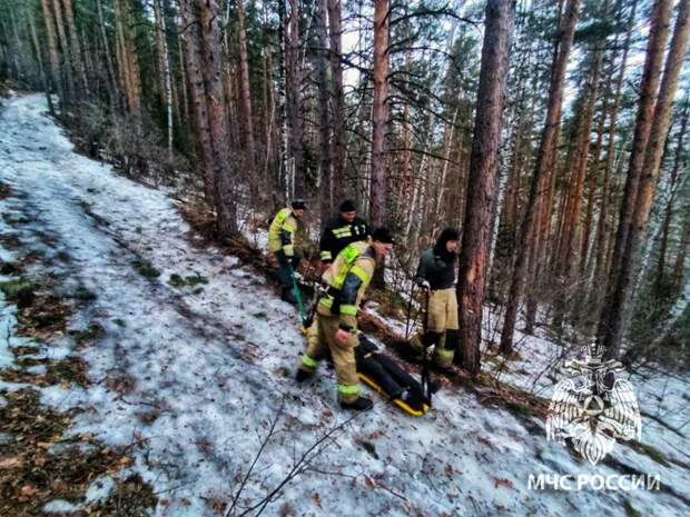 На Алтае туриста пришлось спасать после прогулки к "Вековой сосне"