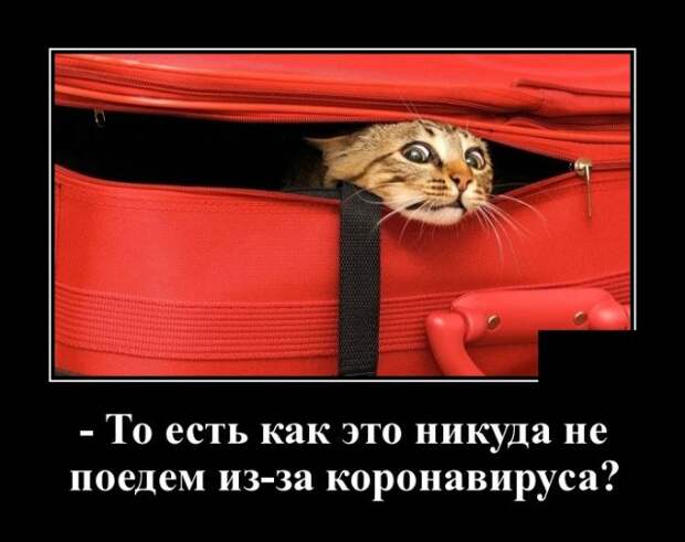 Демотиватор про отмененные поездки