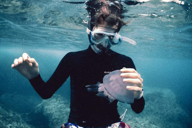 Медуза обожгла лицо, в бассейне оторвали мочку уха. Что может случиться на отдыхе