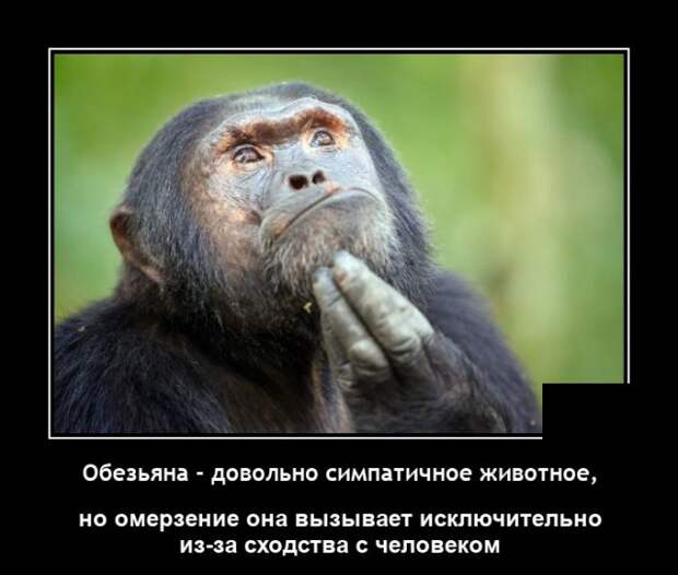 Демотиваторы 10 января 2021 года