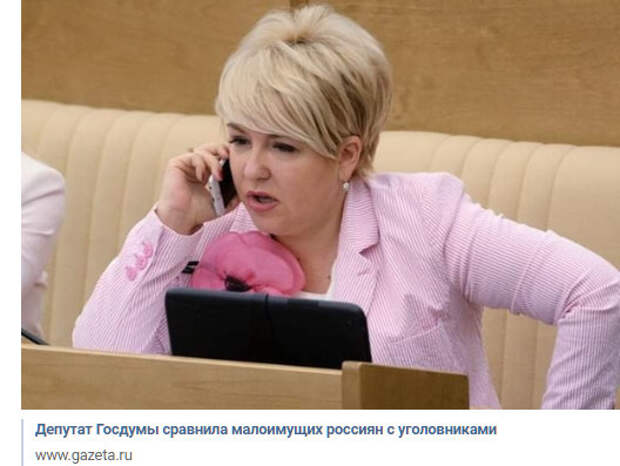 Депутат сравнила малоимущих с преступниками