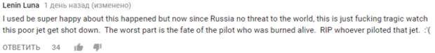 Раньше я был бы очень рад этому, но теперь, когда Россия не представляет угрозы миру, это просто чертовски печально, видеть как этот самолет подстрелили. Худшая часть - судьба пилота, который был сожжен заживо. Покойся с миром, человек, пилотировавший этот самолет. 