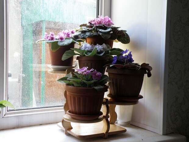 Одинаковые пластиковые горшки выглядят дешево. / Фото: bezgoroda.com Одинаковые пластиковые горшки выглядят дешево. / Фото: bezgoroda.com