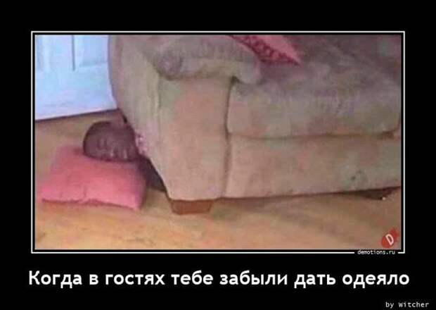 Демотиваторы свежие, прикольные (16 фото)