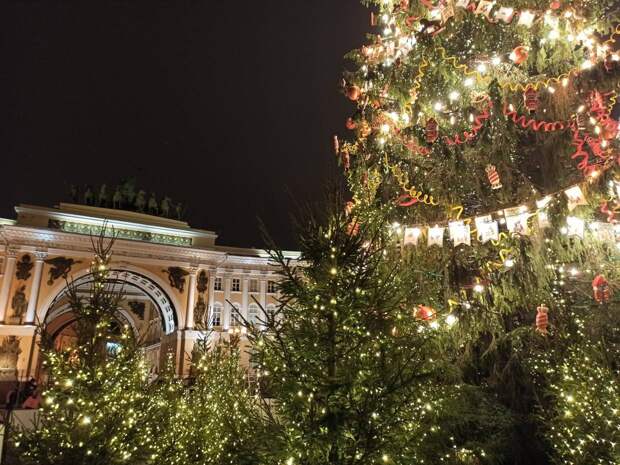 Елочные базары в Петербурге откроются с 20 декабря