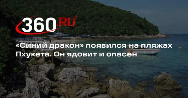 Опасный ядовитый моллюск появился на пляжах Пхукета