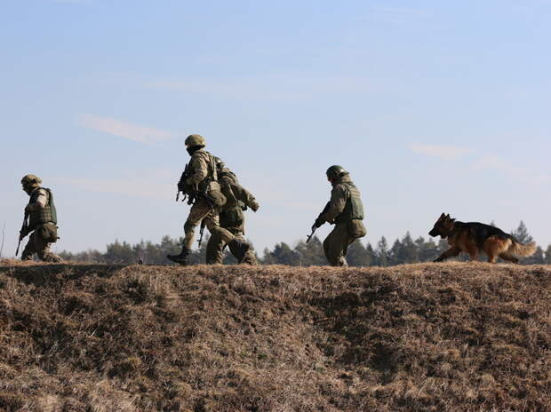 Морской пехотинец «Емеля» рассказал, как собаки чувствуют угрозу в зоне СВО
