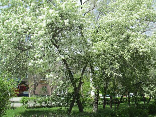 фото Александра Лебедева