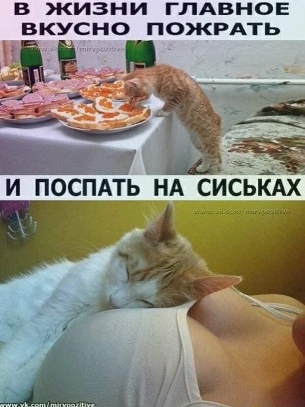Подборка клевых картинок