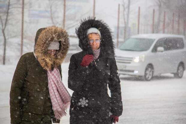 Каким будет лето 2026 — подскажет старинная примета 23 января