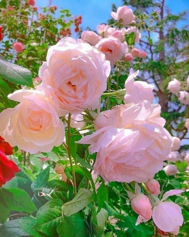 Советские гобелены снова в моде: удивился, когда узнал, сколько за них готова платить молодежь