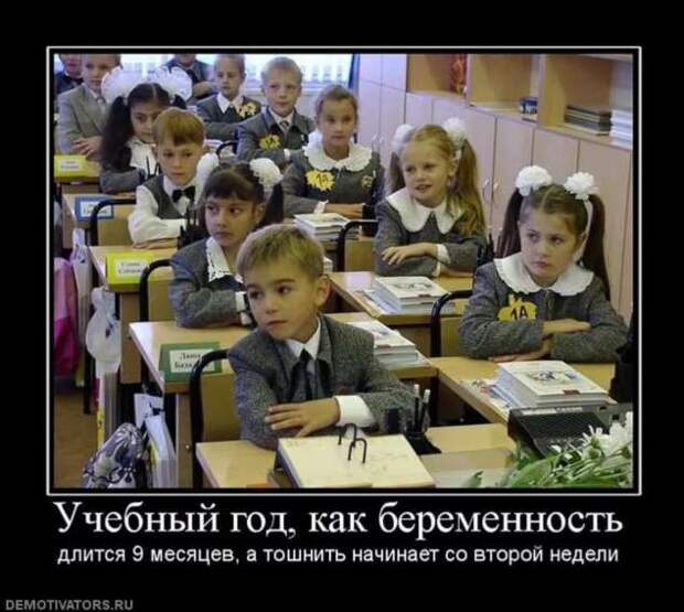 Прикольные демотиваторы с надписями. Подборка chert-poberi-dem-chert-poberi-dem-04000330082020-7 картинка chert-poberi-dem-04000330082020-7