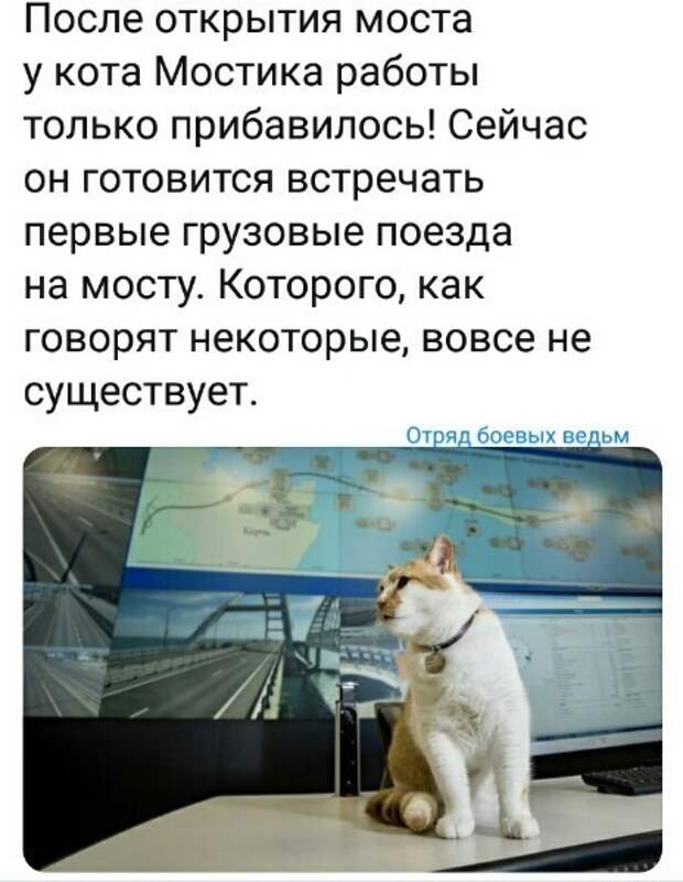 Политические картинки