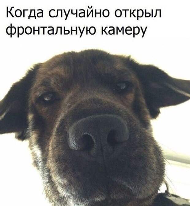 Паранормальных пикч