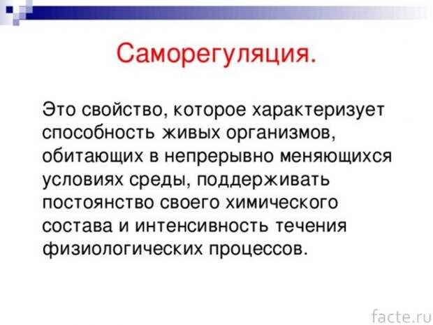 саморегуляция