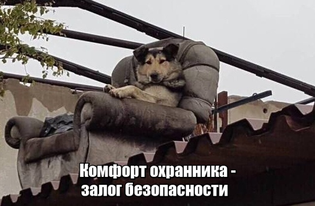 Подборка картинок. Дневной выпуск (20 фото)