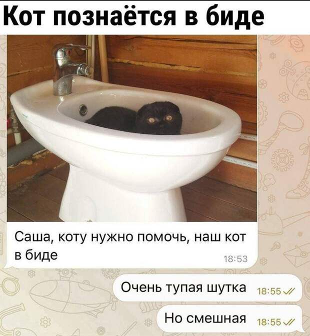 картинки прикольные смешные (22)