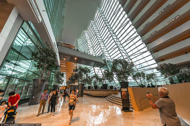 Отель Marina Bay Sands в Сингапуре