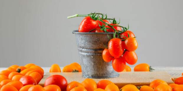 Зимний урожай на подоконнике: 3 сорта томатов, которые порадуют вкусом до весны