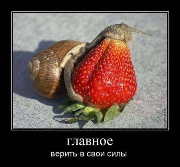 Прикольные демотиваторы с надписями. Подборка chert-poberi-dem-chert-poberi-dem-22130625062020-18 картинка chert-poberi-dem-22130625062020-18