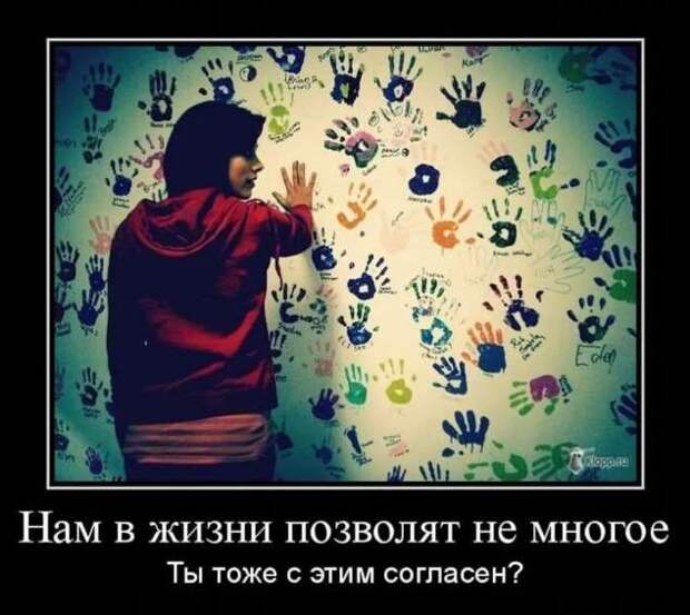 Прикольные демотиваторы с надписями. Подборка chert-poberi-dem-chert-poberi-dem-22130625062020-7 картинка chert-poberi-dem-22130625062020-7