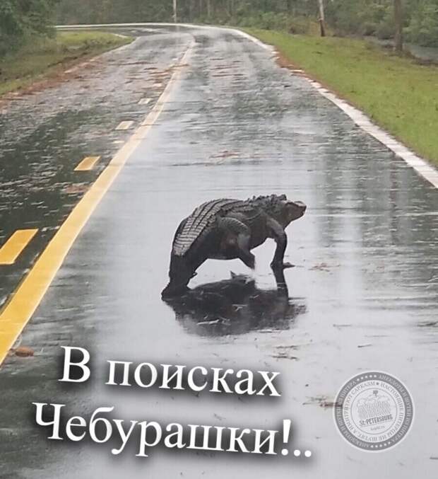 Введите описание картинки