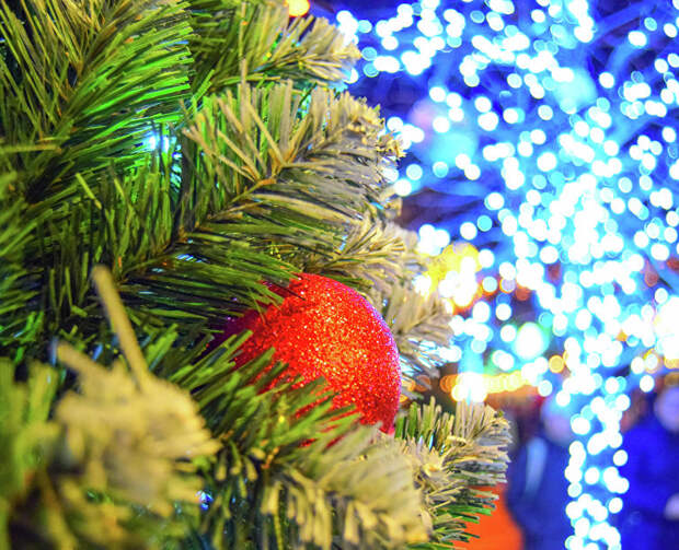 Ялтинская «Поляна сказок» зовёт поиграть с Дедом Морозом, Чебурашкой и Серым Волком