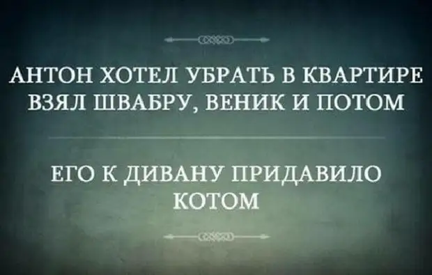 Подборка метких высказываний, которые подарят вам позитивный настрой