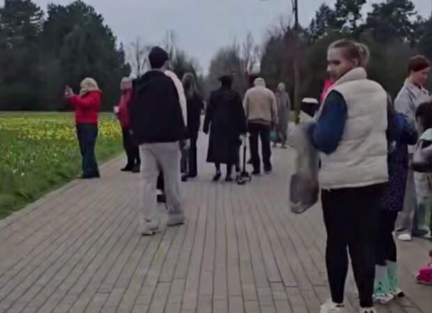 Крупный парк Краснодара закрывают для посещений