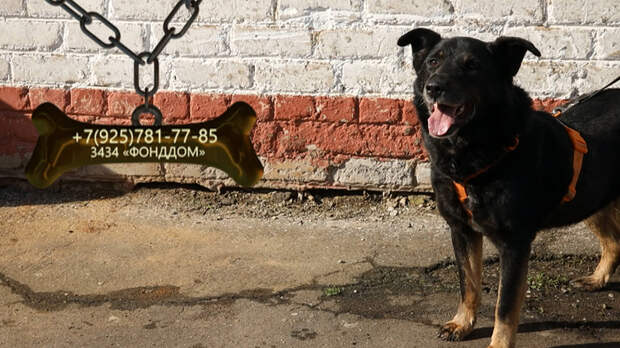 Весёлый Боцман