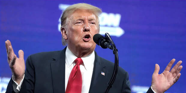 Онлайн-интерес к Трампу как индикатор настроений на Уолл-стрит