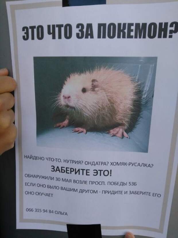 Какой это покемон?
