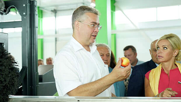 Садоводам Ставрополье в 2020 г выделили господдержку на 764 млн рублей Садоводам Ставрополье в 2020 г выделили господдержку на 764 млн рублей