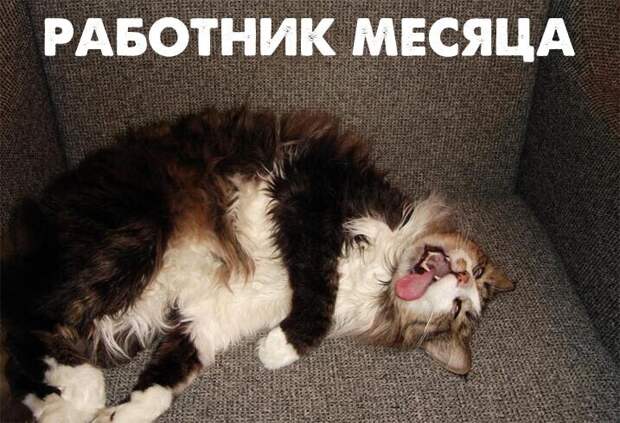 Смешные и познавательные картинки