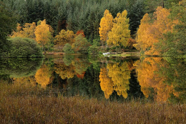 Фото Роджера Меррифилда