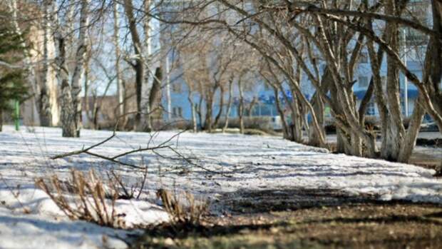 Потепление / Фото: Екатерина Смолихина / amic.ru