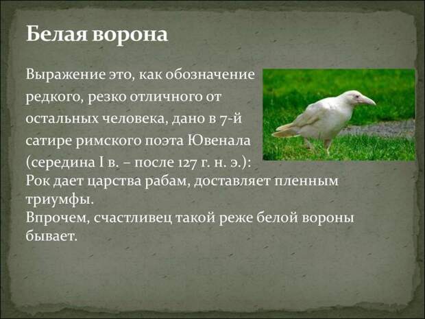 Крылатые фразы. Происхождение и история этих фраз история, крылатые фразы, обозначение, познавательно., происхождение, язык