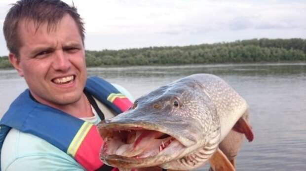 Фото «щуки-крокодила» из Новосибирска шокировало пользователей Сети