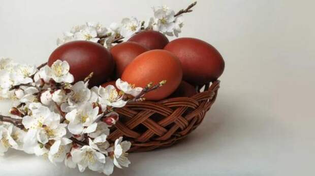 На Пасху в Петербурге увеличат количество транспорта до кладбищ