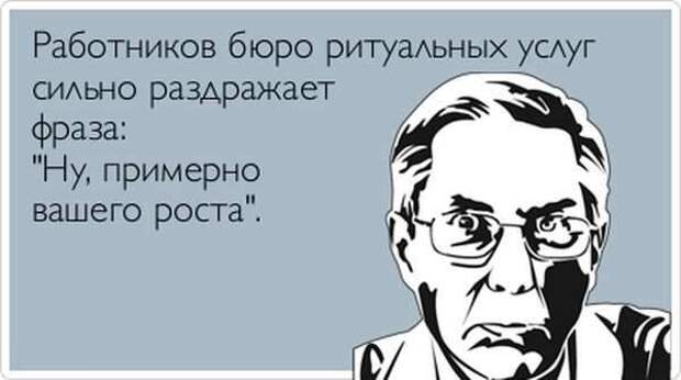 Подборка "аткрыток" Подборка "аткрыток" аткрытки, юмор