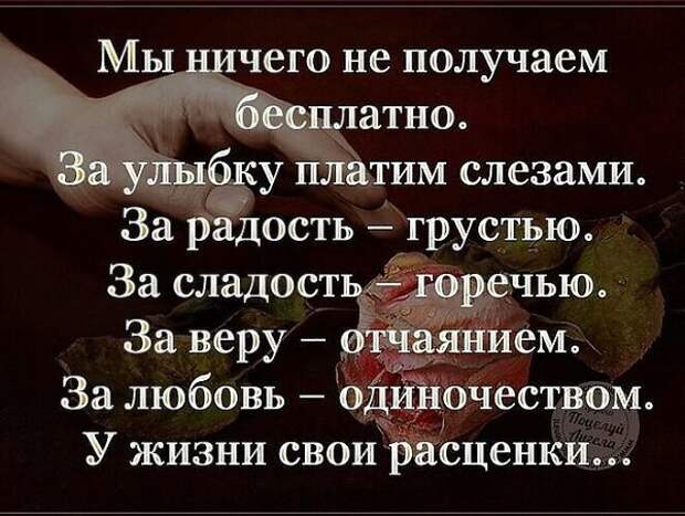 Оставляя комментарии к фотографиям в своем блоге александр припомнил егэ