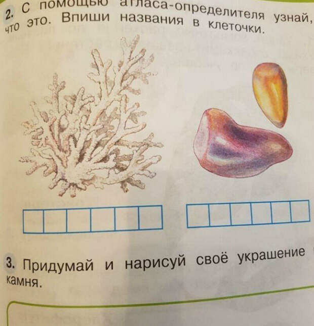 Может это камни... Ну, те, что почках бывают... | Фото: STENA.ee. Может это камни... Ну, те, что почках бывают... | Фото: STENA.ee.