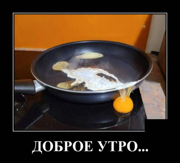 демотиваторы новые